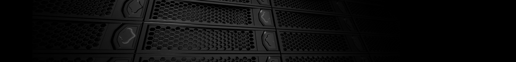 Server Hosting