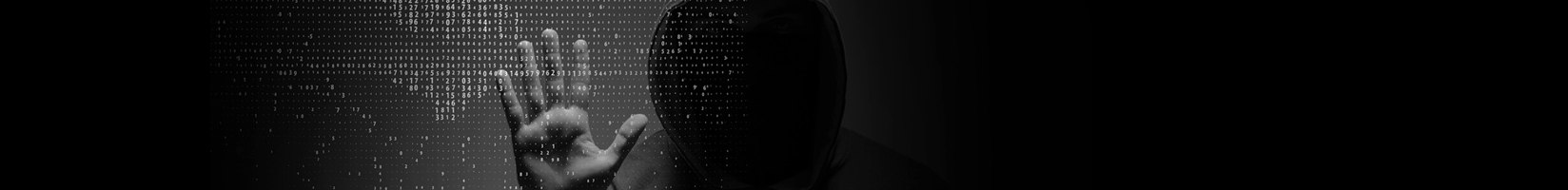 Web Security